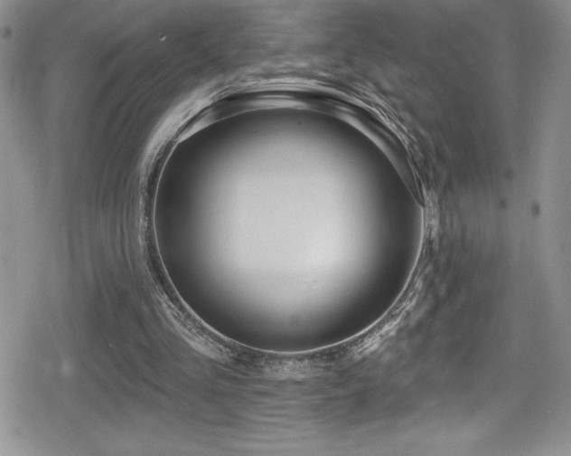 X0000080770293200612151441
