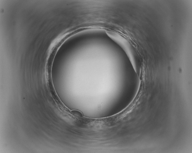 X0000080770294200612151441
