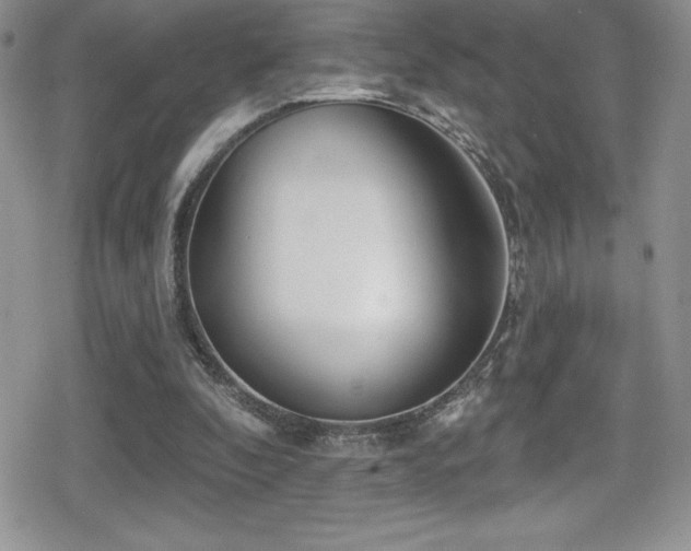 X0000080770296200612151441