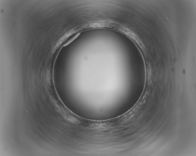 X0000080770297200612151441