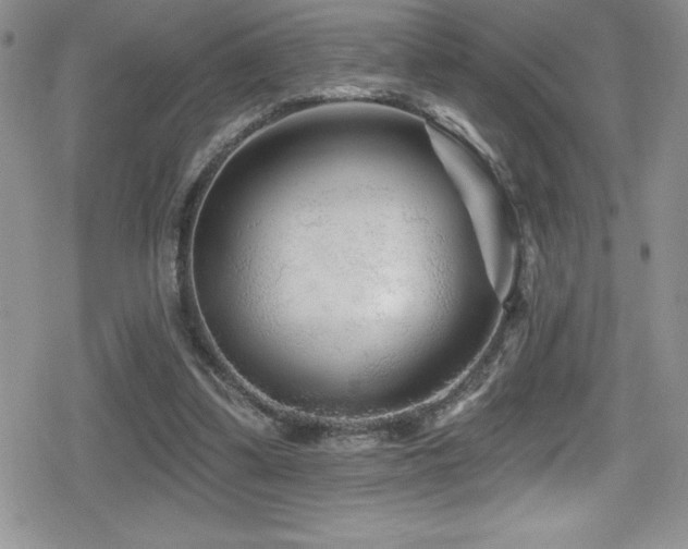 X0000080770299200612151441