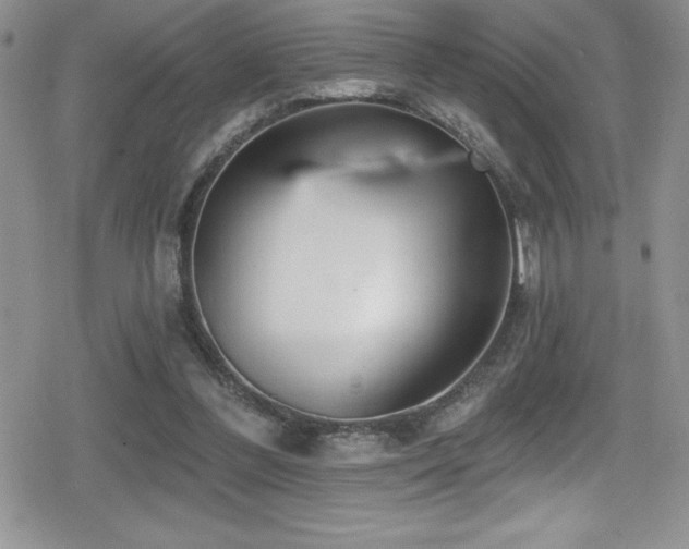 X0000080770300200612151441