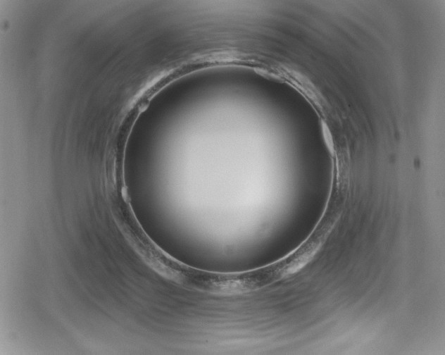 X0000080770301200612151441