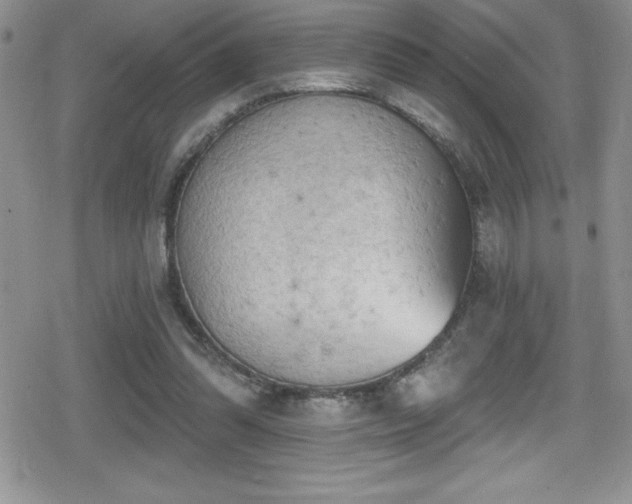 X0000080770302200612151441