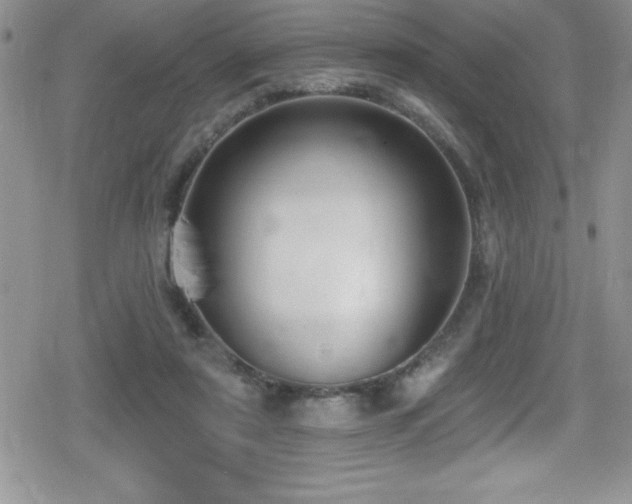 X0000080770307200612151441