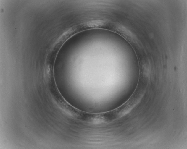 X0000080770308200612151441