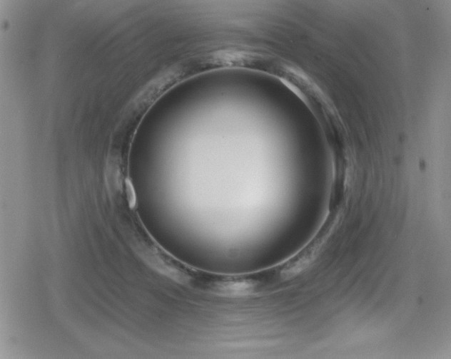 X0000080770313200612151441