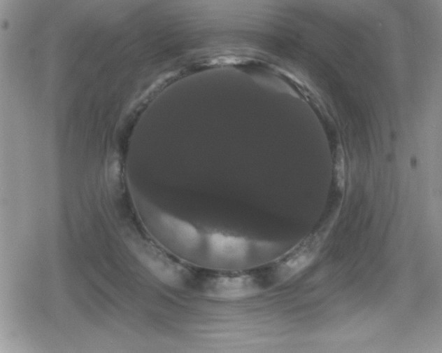 X0000080770314200612151441