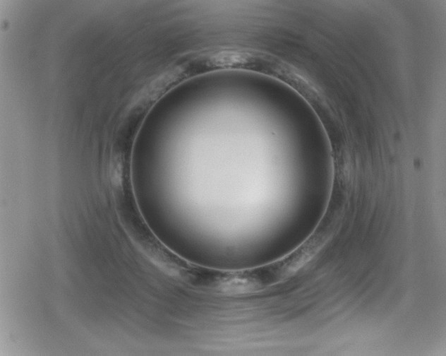 X0000080770315200612151441
