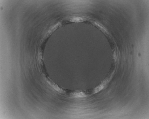 X0000080770322200612151441