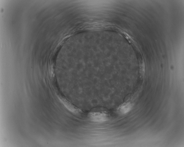 X0000080770331200612151441