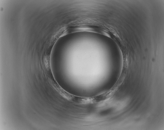 X0000080770335200612151441