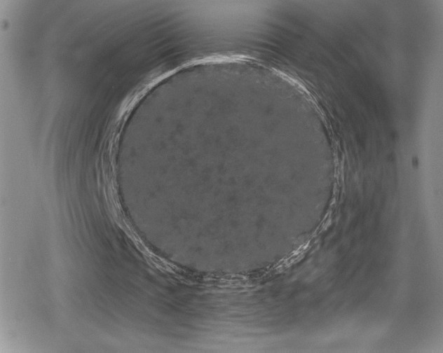 X0000080770337200612151440