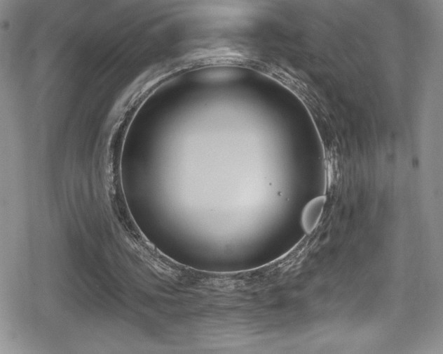 X0000080770339200612151440