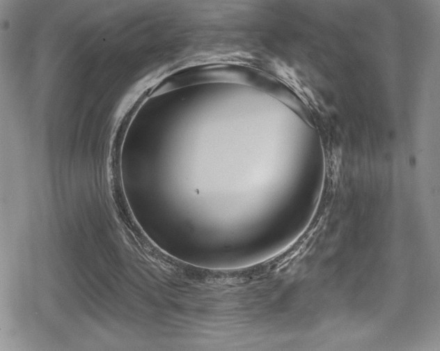 X0000080770340200612151440