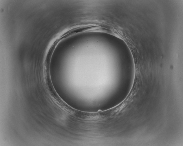 X0000080770342200612151440