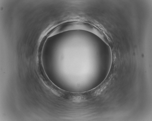 X0000080770344200612151440