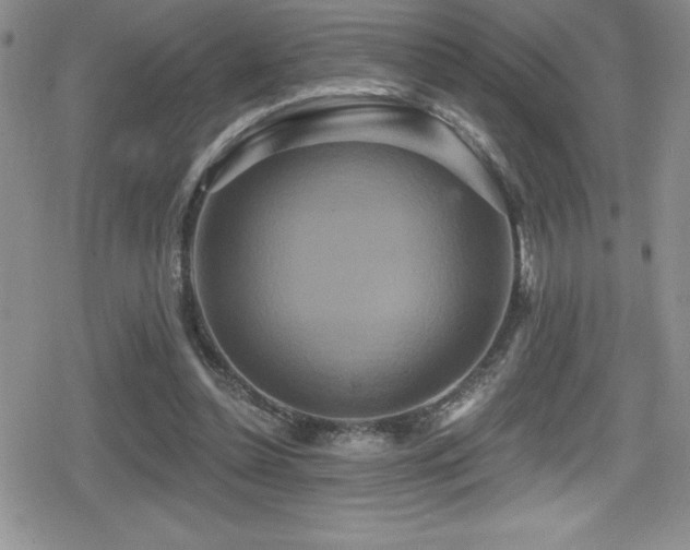 X0000080770348200612151440