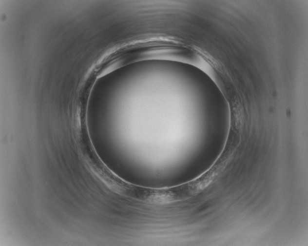 X0000080770350200612151440