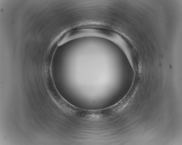 X0000080770352200612151440