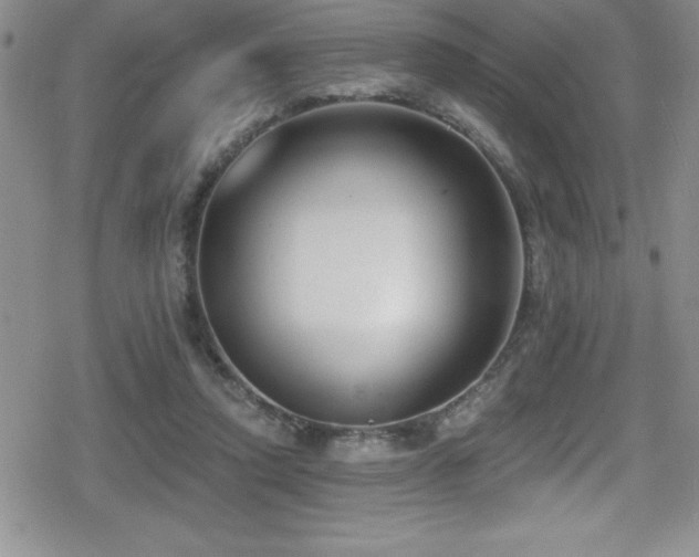 X0000080770354200612151440