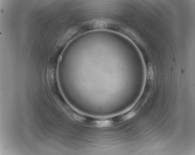 X0000080770363200612151440