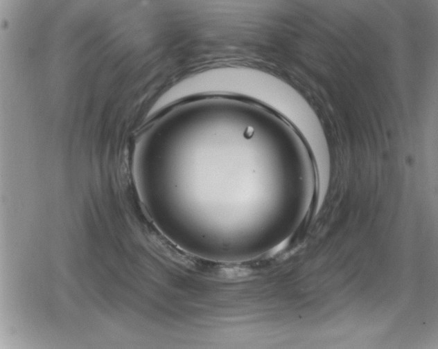 X0000080770376200612151440