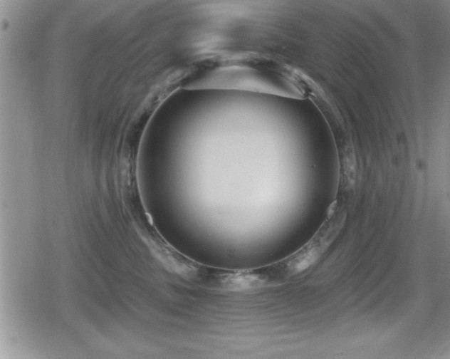 X0000080770379200612151441