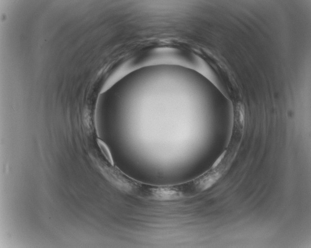 X0000080770380200612151441