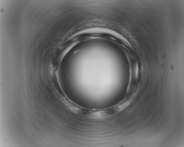 X0000080770382200612151441
