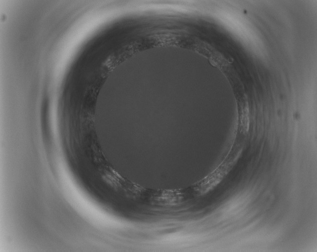 X0000080770383200612151441