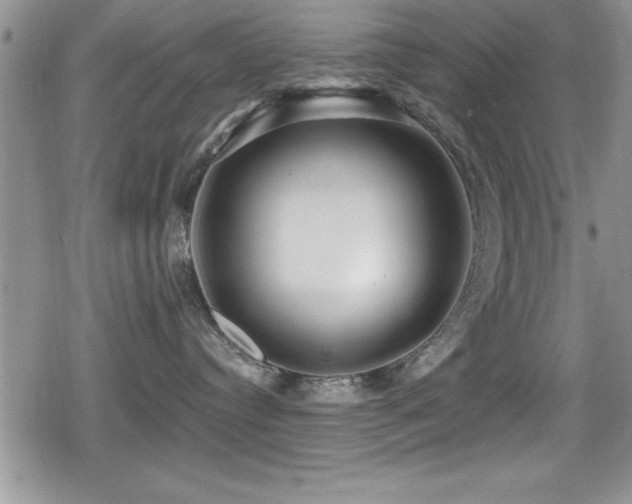 X0000080770384200612151441