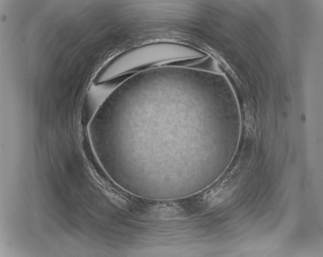 X0000080770386200612151440