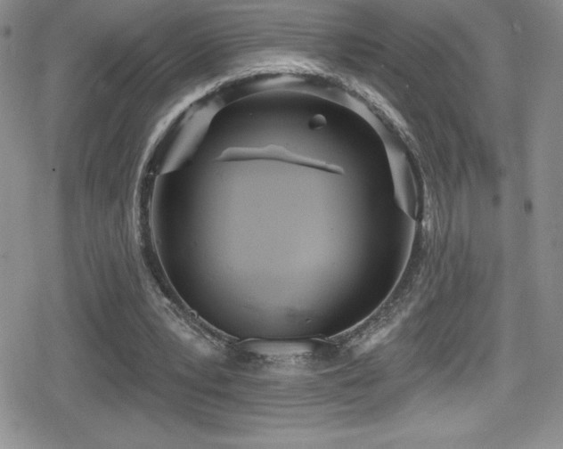 X0000080770391200612151440