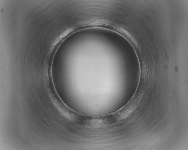 X0000080770394200612151440