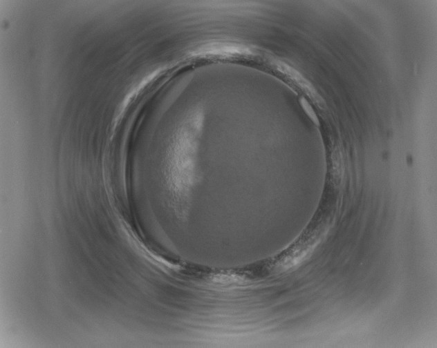 X0000080770399200612151440