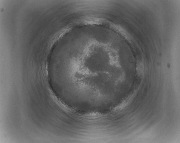 X0000080770402200612151440