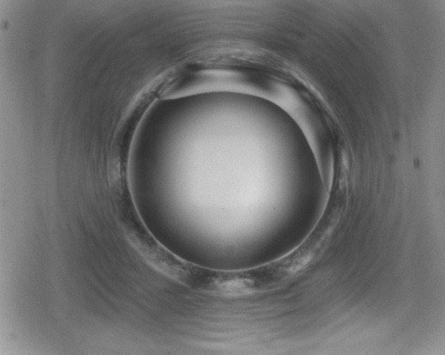 X0000080770407200612151439