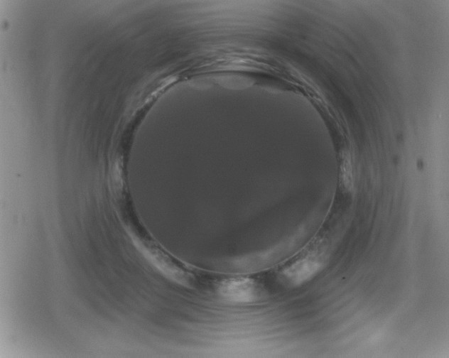 X0000080770410200612151439