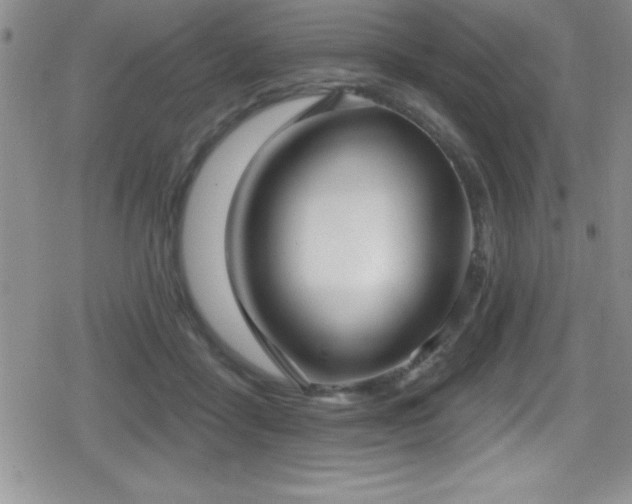 X0000080770411200612151439