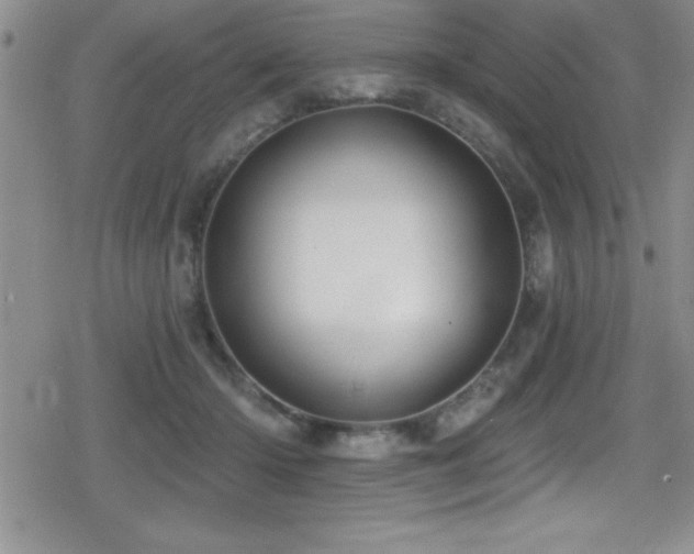 X0000080770414200612151439