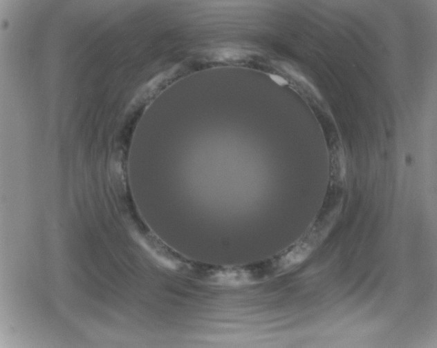 X0000080770415200612151439