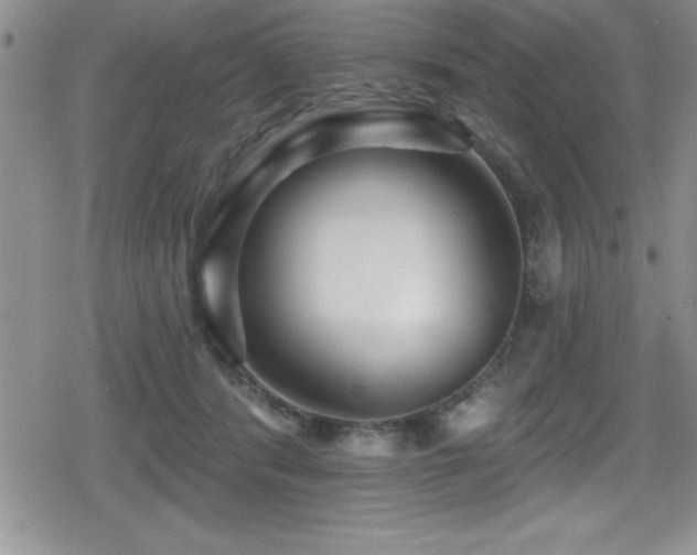 X0000080770416200612151439