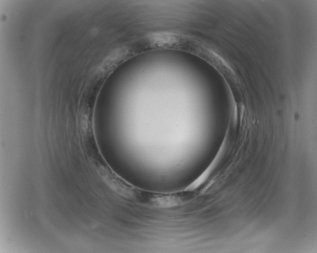 X0000080770417200612151439
