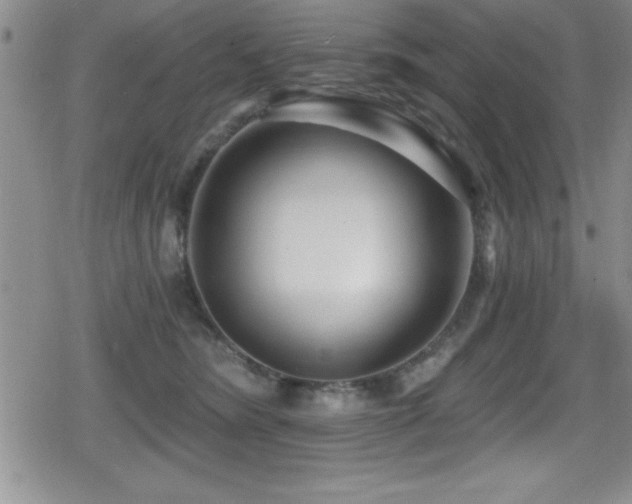 X0000080770420200612151439