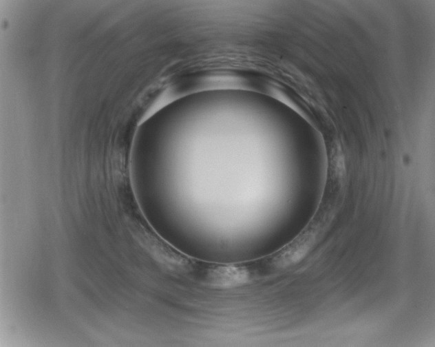 X0000080770421200612151439