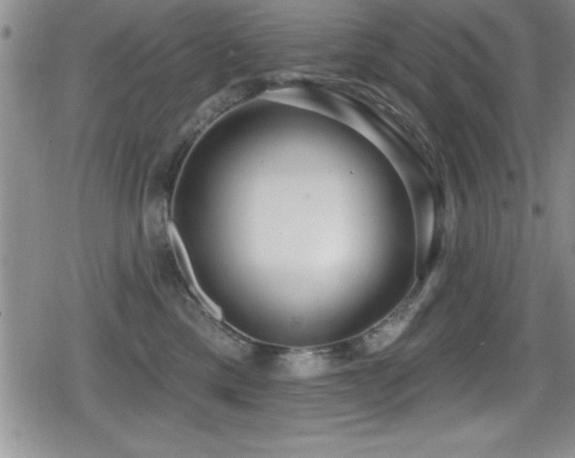 X0000080770425200612151439