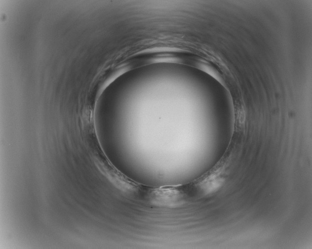 X0000080770429200612151439