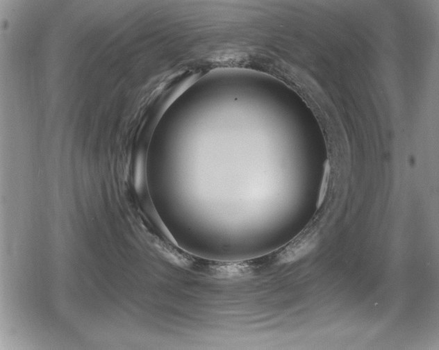 X0000080770432200612151439