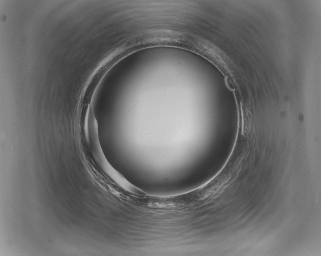 X0000080770435200612151438